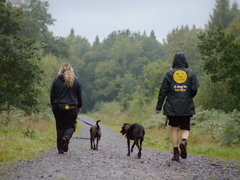 Best place to take dogs clearance for a walk near me